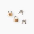 Travel Sentry Case Locks (Twin)