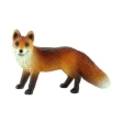 Renard