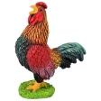 Coq