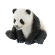 Jeune panda