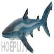 Requin bleu