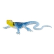 Iguane à collier