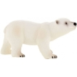 Ours Polaire Jeune