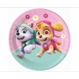 Paw Patrol Skye And Everest Assiettes en