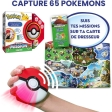 Pokemon Dresseur Mission