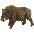 Sanglier