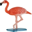 Flamant Rose
