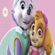 Paw Patrol Serviettes en papier