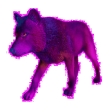 Loup