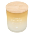 Bougie Sana Terre d'Ailleurs 255g