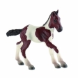 Poulain Paint Horse