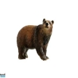 Ours Brun