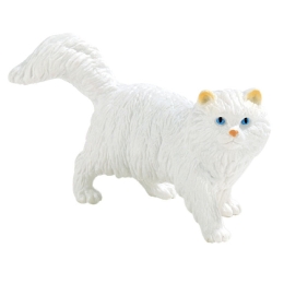 chat persan Princess